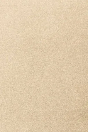 Ковровое покрытие AW Oinone 34 - (5м) в Оренбурге