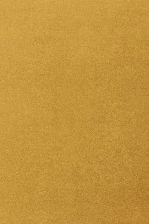 Ковровое покрытие AW Oinone 54 - (5м) в Оренбурге