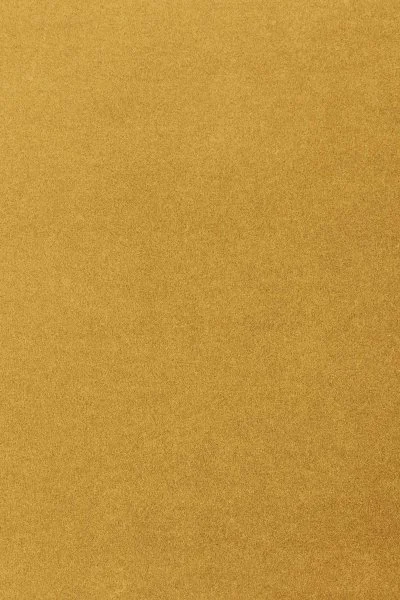 Ковровое покрытие AW Oinone 54 - (5м) в Оренбурге