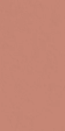 Керамогранит Italon Серфейс Скарлетт (Патинированная, 60x120) в Оренбурге