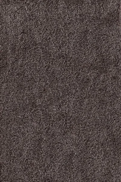 Ковровое покрытие AW Messalina 44 - (4м) в Оренбурге