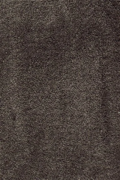 Ковровое покрытие AW Fedone 44 - (5м) в Оренбурге