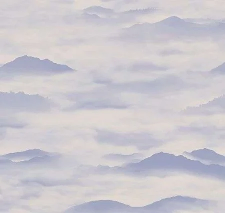 Обои Loymina Clair CLR4, 006 в Оренбурге