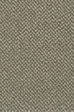 Ковровое покрытие AW Stainaway Tweed 24 - (4м) в Оренбурге