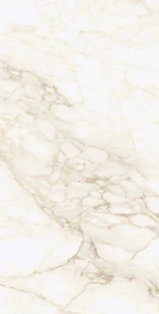 Керамогранит Coliseum Микеланджело Ворм 60х120 (Натуральный и Реттифицированный) в Оренбурге