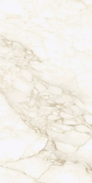 Керамогранит Coliseum Микеланджело Ворм 60х120 (Натуральный и Реттифицированный) в Оренбурге