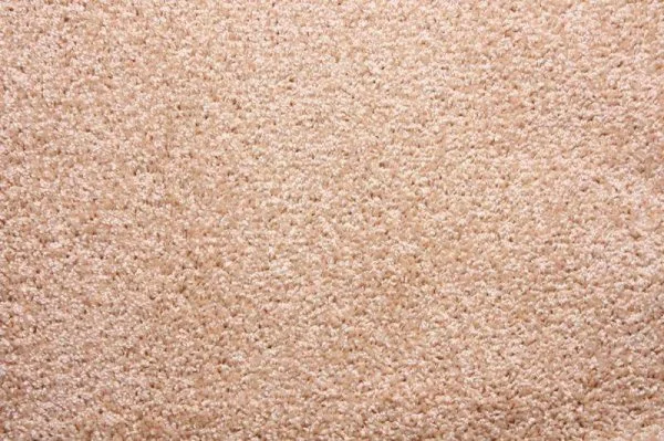 Ковровое покрытие Zartex Фортуна 004 кремовый - 3 м в Оренбурге