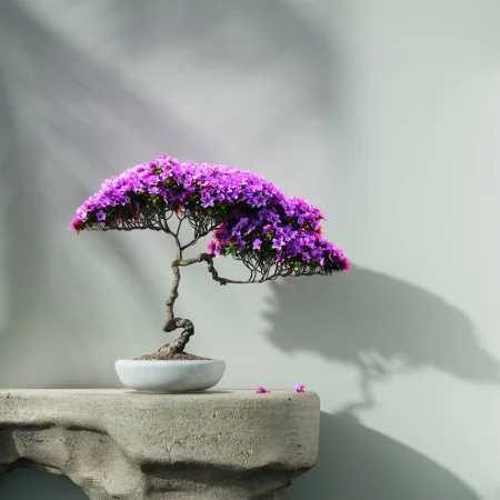 Обои Loymina Lotus LOT1 112 в Оренбурге