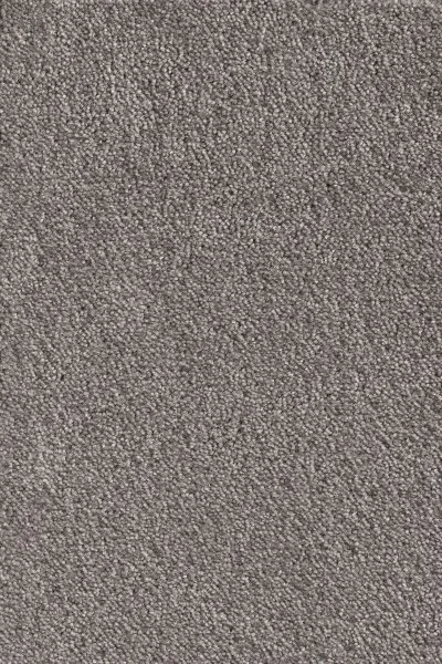 Ковровое покрытие AW Messalina 49 - (5м) в Оренбурге