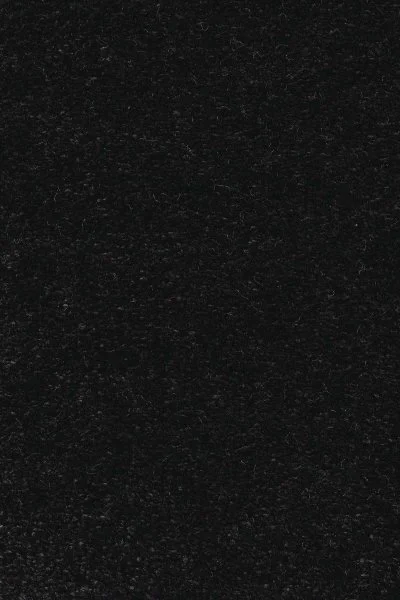 Ковровое покрытие AW Euphoria 99 - (5м) в Оренбурге