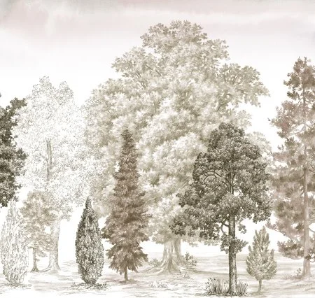 Обои Loymina Пейзаж vol. 2 ART14 012 в Оренбурге