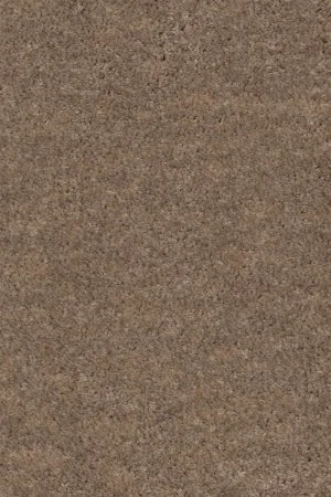 Ковровое покрытие AW Euphoria 36 - (4м) в Оренбурге