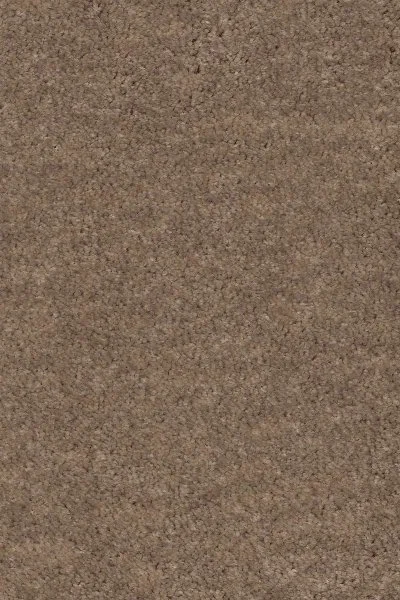 Ковровое покрытие AW Euphoria 36 - (4м) в Оренбурге