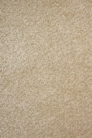 Ковровое покрытие AW Euphoria 33 - (5м) в Оренбурге