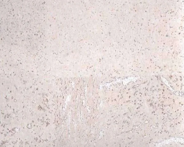 Настенное пробковое покрытие CorkArt PW 386 WS в Оренбурге