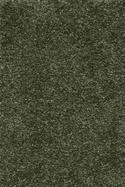 Ковровое покрытие AW Certosa 24 - (4м) в Оренбурге