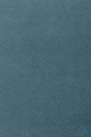 Ковровое покрытие AW Oinone 74 - (5м) в Оренбурге