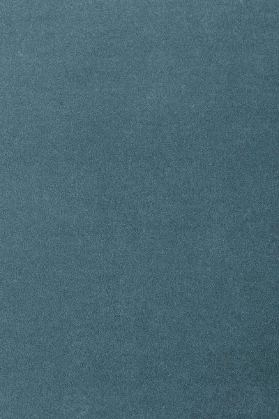 Ковровое покрытие AW Oinone 74 - (5м) в Оренбурге