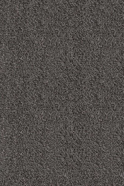 Ковровое покрытие AW Messalina 99 - (5м) в Оренбурге