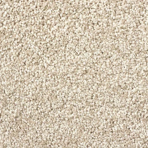 Ковровое покрытие Zartex Савойа 271 Топленое молоко - 3 м в Оренбурге