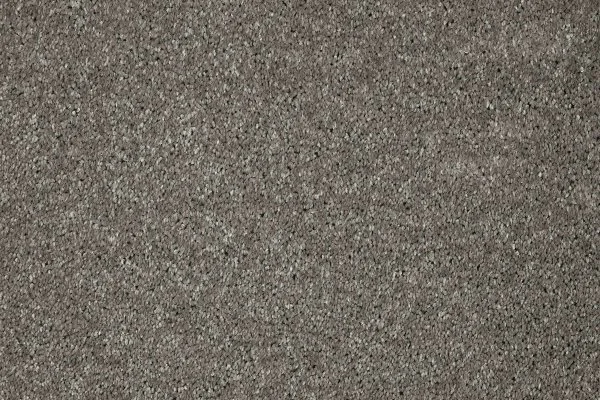 Ковровое покрытие AW Gala 94 - (5м) в Оренбурге