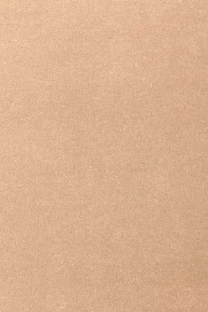 Ковровое покрытие AW Oinone 08 - (4м) в Оренбурге