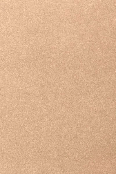 Ковровое покрытие AW Oinone 08 - (4м) в Оренбурге