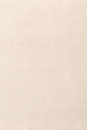 Ковровое покрытие AW Oinone 03 - (4м) в Оренбурге