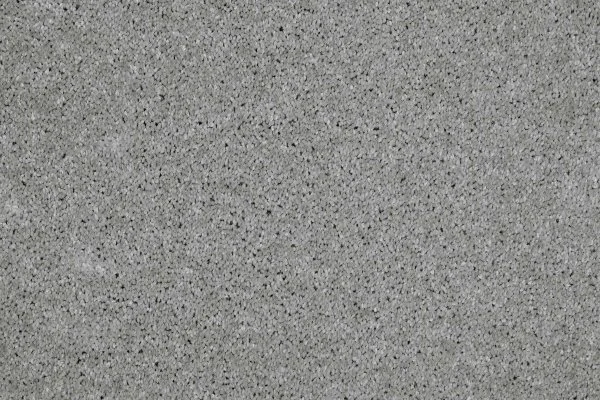 Ковровое покрытие AW Gala 90 - (4м) в Оренбурге