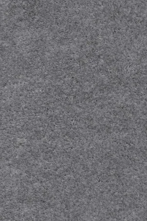 Ковровое покрытие AW Euphoria 95 - (5м) в Оренбурге