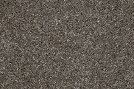 Ковровое покрытие AW Gala 49 - (5м) в Оренбурге