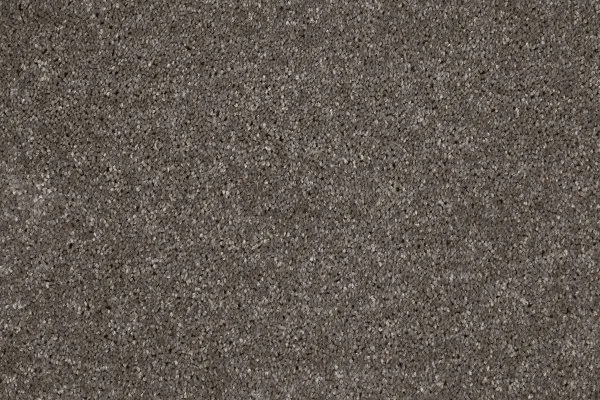 Ковровое покрытие AW Gala 49 - (4м) в Оренбурге