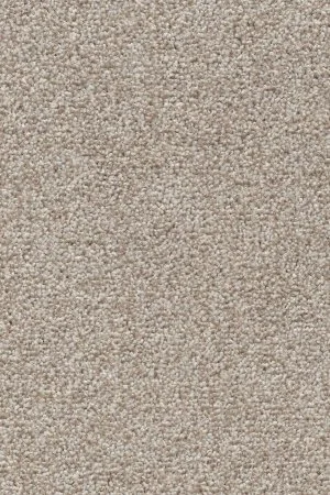 Ковровое покрытие AW Stainguard Harvest 04 - (4м) в Оренбурге