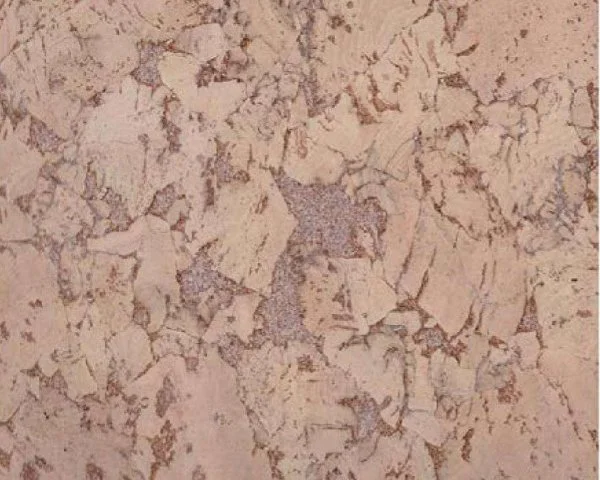 Настенное пробковое покрытие CorkArt PW 324 NK в Оренбурге