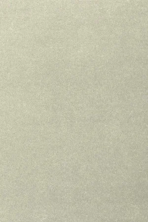 Ковровое покрытие AW Oinone 02 - (4м) в Оренбурге