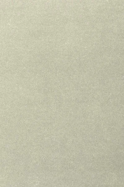 Ковровое покрытие AW Oinone 02 - (4м) в Оренбурге