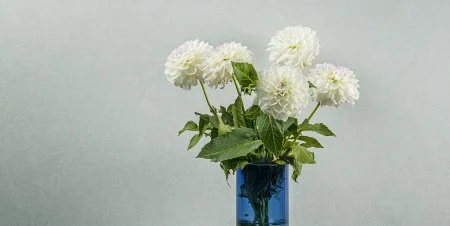 Обои Loymina Shade vol.2 SDR5, 001 в Оренбурге