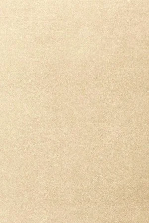 Ковровое покрытие AW Oinone 33 - (5м) в Оренбурге