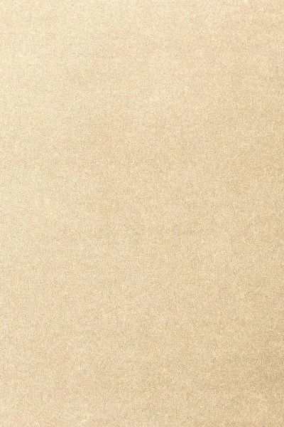 Ковровое покрытие AW Oinone 33 - (4м) в Оренбурге