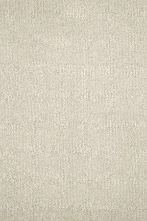 Ковровое покрытие AW Prima 30 - (4м) в Оренбурге