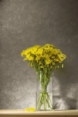 Обои Loymina Golden Library TDG 7, 008 в Оренбурге