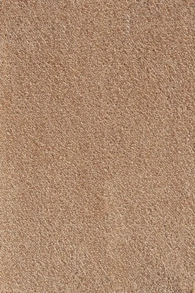 Ковровое покрытие AW Messalina 38 - (5м) в Оренбурге