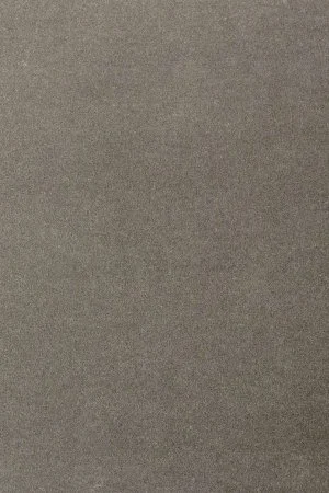 Ковровое покрытие AW Oinone 95 - (5м) в Оренбурге