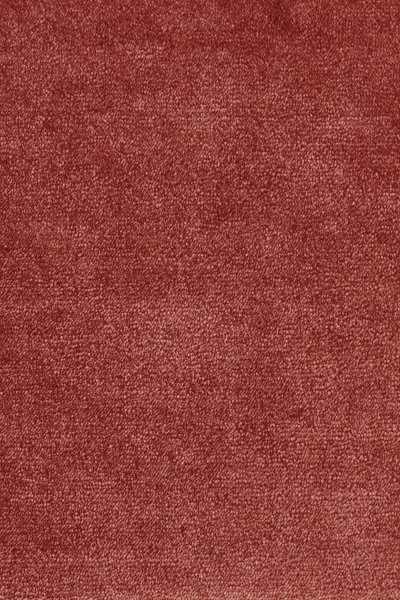 Ковровое покрытие AW Omphale 10 - (5м) в Оренбурге