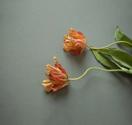 Обои Loymina Russian Classic Ru10, 006 в Оренбурге