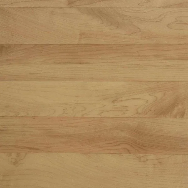 Спортивный линолеум Tarkett Omnisports Action 65 Cold Beech в Оренбурге