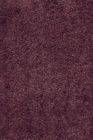 Ковровое покрытие AW Fedone 19 - (5м) в Оренбурге