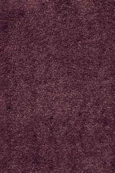 Ковровое покрытие AW Fedone 19 - (5м) в Оренбурге