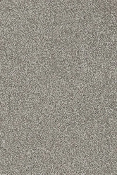 Ковровое покрытие AW Messalina 9 - (4м) в Оренбурге