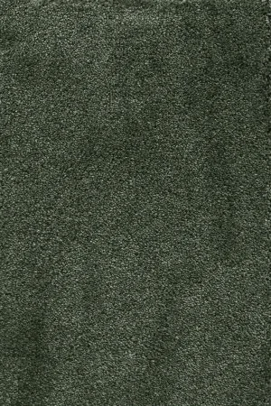 Ковровое покрытие AW Fedone 24 - (5м) в Оренбурге